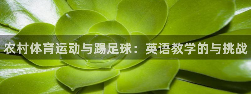 bbin视讯游戏平台
