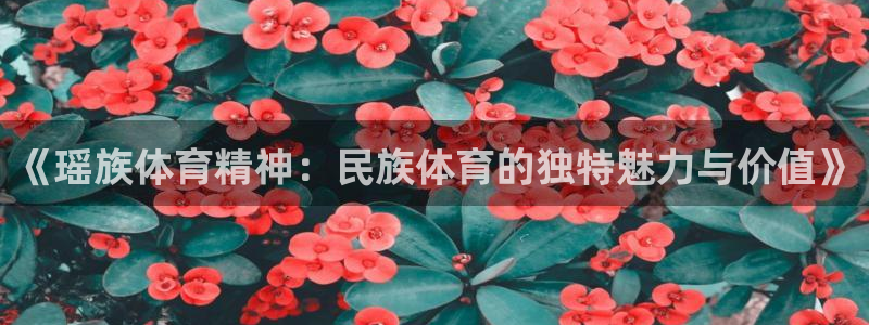 bbin视讯游戏官网