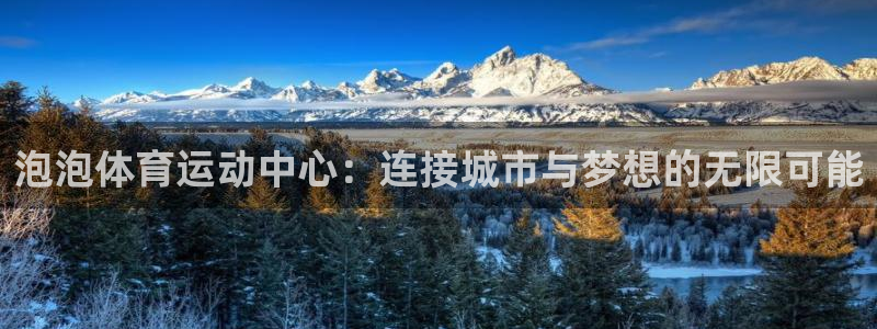 bbin视讯游戏官网：泡泡体育运动中心：连接城市与梦想的无限可能