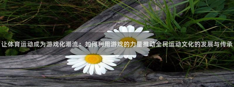bbin视讯游戏平台：让体育运动成为游戏化潮流：如何利用游戏的力量推动全民运动文化的发展与传承