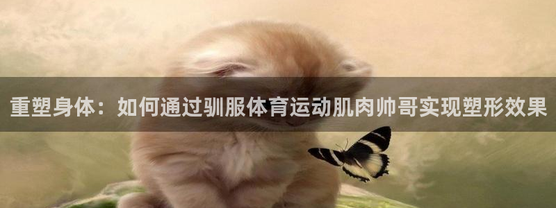 bbin视讯游戏官网：重塑身体：如何通过驯服体育运动肌肉帅哥实现塑形效果