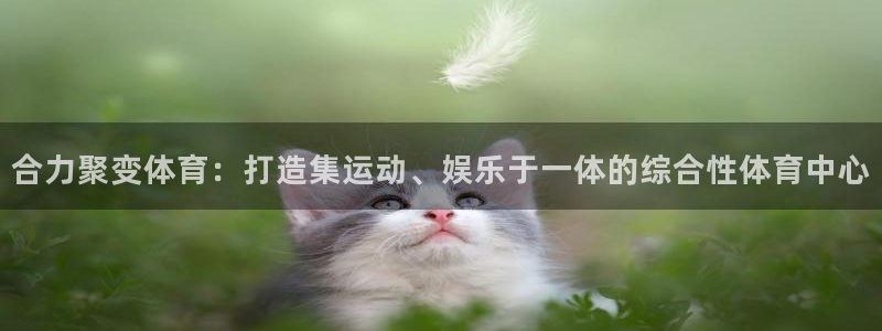 bbin视讯下：合力聚变体育：打造集运动、娱乐于一体的综合性体育中心