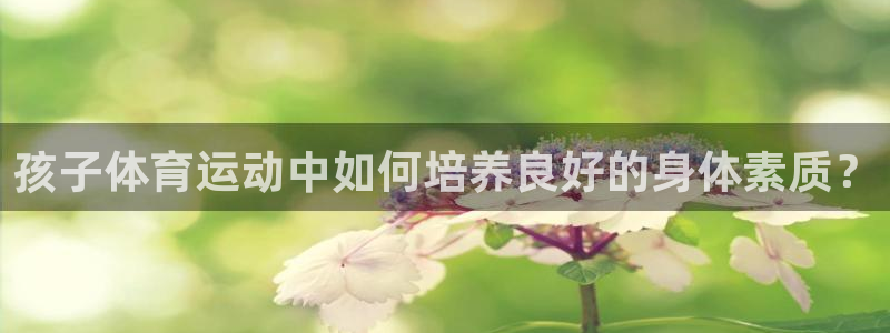 bbin视讯下