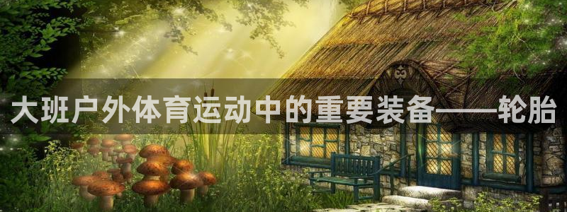 bbin视讯游戏官网：大班户外体育运动中的重要装备——轮胎