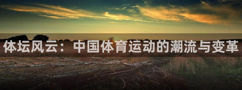 bbin视讯游戏平台：体坛风云：中国体育运动的潮流与变革
