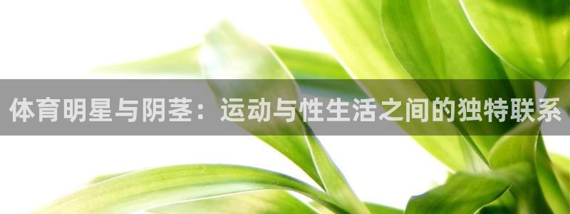 bbin视讯：体育明星与阴茎：运动与性生活之间的独特联系