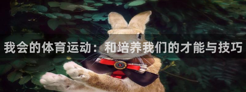 bbin视讯下：我会的体育运动：和培养我们的才能与技巧
